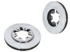 Bremsscheibe Brake Disc:40206-02N01