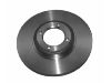 Brake Disc:79 10 007 377